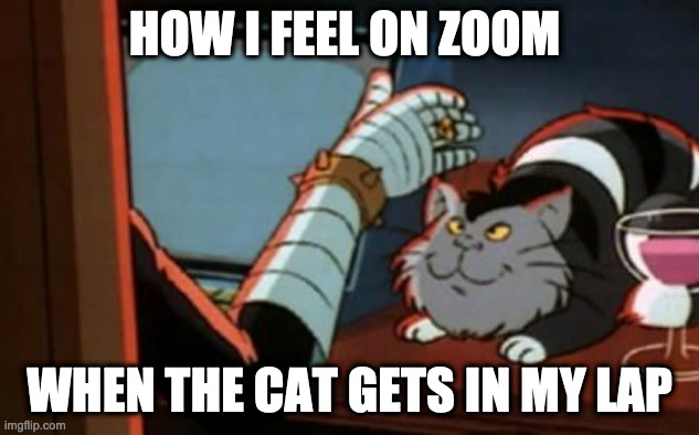 Dr Claw Zoom Feels | HOW I FEEL ON ZOOM; WHEN THE CAT GETS IN MY LAP | image tagged in dr claw,zoom,cats | made w/ Imgflip meme maker