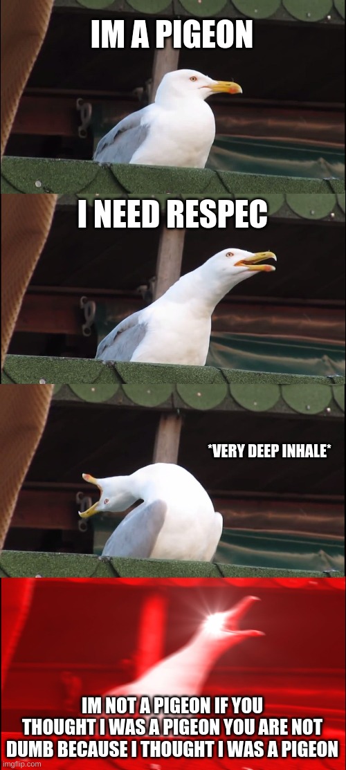 Inhaling Seagull | IM A PIGEON; I NEED RESPEC; *VERY DEEP INHALE*; IM NOT A PIGEON IF YOU THOUGHT I WAS A PIGEON YOU ARE NOT DUMB BECAUSE I THOUGHT I WAS A PIGEON | image tagged in memes,inhaling seagull | made w/ Imgflip meme maker