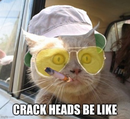 Fear And Loathing Cat | CRACK HEADS BE LIKE | image tagged in memes,fear and loathing cat | made w/ Imgflip meme maker