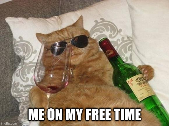 My life be like | ME ON MY FREE TIME | image tagged in funny cat birthday | made w/ Imgflip meme maker