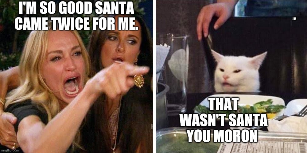 Smudge the cat | J M; I'M SO GOOD SANTA CAME TWICE FOR ME. THAT WASN'T SANTA YOU MORON | image tagged in smudge the cat | made w/ Imgflip meme maker