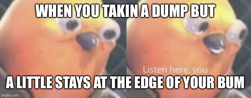 Listen here you little shit bird | WHEN YOU TAKIN A DUMP BUT; A LITTLE STAYS AT THE EDGE OF YOUR BUM | image tagged in listen here you little shit bird | made w/ Imgflip meme maker