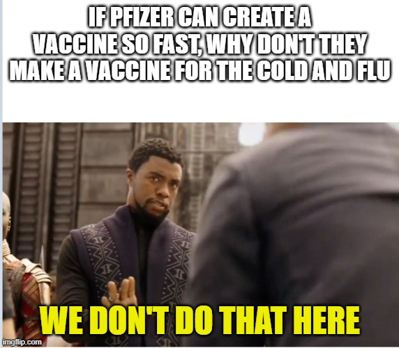 We don't do that here | IF PFIZER CAN CREATE A VACCINE SO FAST, WHY DON'T THEY MAKE A VACCINE FOR THE COLD AND FLU; WE DON'T DO THAT HERE | image tagged in we don't do that here | made w/ Imgflip meme maker