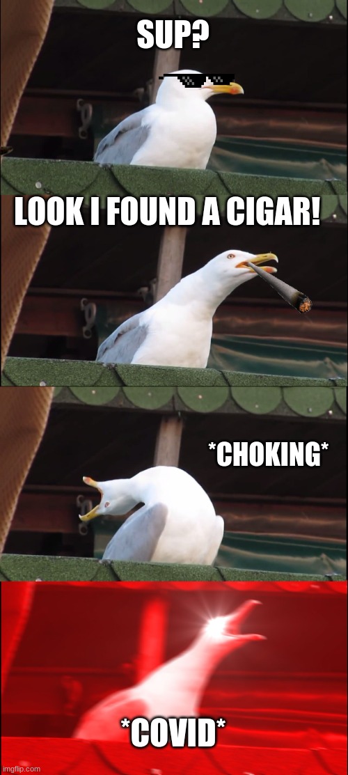 Classic! | SUP? LOOK I FOUND A CIGAR! *CHOKING*; *COVID* | image tagged in memes,inhaling seagull | made w/ Imgflip meme maker