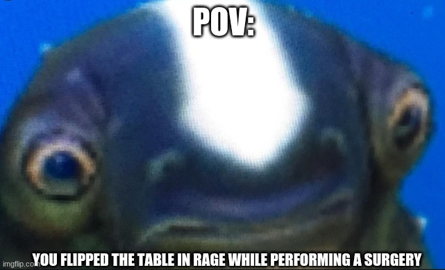 I WILL MAKE A SUBNAUTICA MEME EVERY DAY UNTIL SUBNAUTICA:BELOW ZERO IS RELEASED DAY 5 | POV:; YOU FLIPPED THE TABLE IN RAGE WHILE PERFORMING A SURGERY | image tagged in subnautica seamoth cuddlefish,subnautica | made w/ Imgflip meme maker