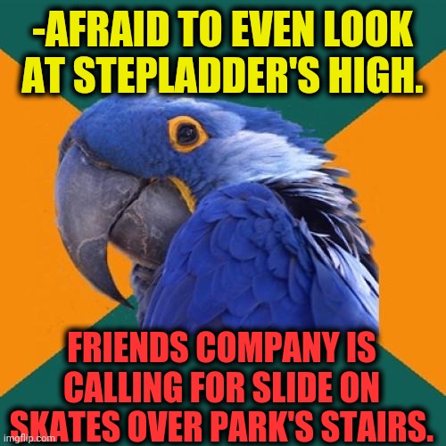 -Reach the necessary items. | -AFRAID TO EVEN LOOK AT STEPLADDER'S HIGH. FRIENDS COMPANY IS CALLING FOR SLIDE ON SKATES OVER PARK'S STAIRS. | image tagged in memes,paranoid parrot,ladder,be afraid,skateboarding,slide | made w/ Imgflip meme maker