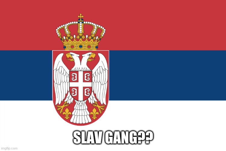 Serbian Flag | SLAV GANG?? | image tagged in serbian flag | made w/ Imgflip meme maker