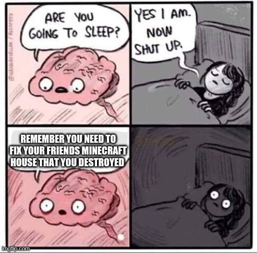 Are you going to sleep? | REMEMBER YOU NEED TO FIX YOUR FRIENDS MINECRAFT HOUSE THAT YOU DESTROYED | image tagged in are you going to sleep | made w/ Imgflip meme maker