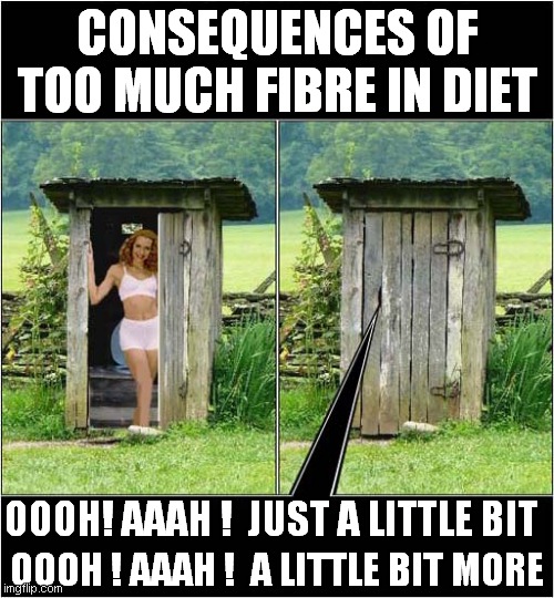 Gina G's Toilet Woes ! | CONSEQUENCES OF TOO MUCH FIBRE IN DIET; OOOH ! AAAH !  A LITTLE BIT MORE; OOOH! AAAH !  JUST A LITTLE BIT | image tagged in fun,constipation,gina g,frontpage | made w/ Imgflip meme maker