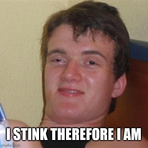 High/Drunk guy | I STINK THEREFORE I AM | image tagged in high/drunk guy | made w/ Imgflip meme maker