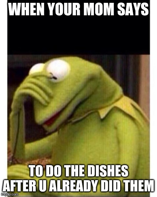 Facepalm frog | WHEN YOUR MOM SAYS; TO DO THE DISHES AFTER U ALREADY DID THEM | image tagged in facepalm frog,when you think your parents are mean | made w/ Imgflip meme maker