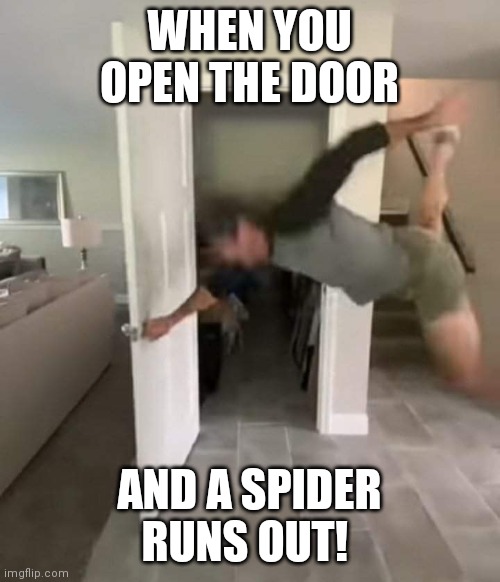 Aaahh a spider | WHEN YOU OPEN THE DOOR; AND A SPIDER RUNS OUT! | image tagged in spider,spiders,arachnophobia,funny,funny memes,brimmuthafukinstone | made w/ Imgflip meme maker
