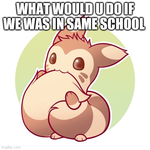 Cute ferret | WHAT WOULD U DO IF WE WAS IN SAME SCHOOL | image tagged in cute ferret | made w/ Imgflip meme maker