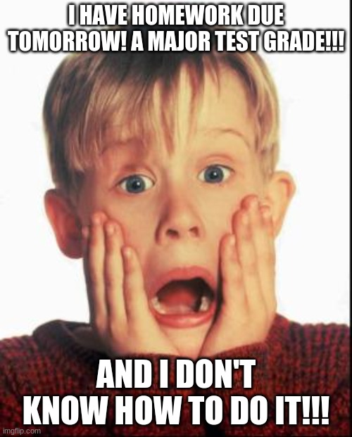 Home Alone Homework | I HAVE HOMEWORK DUE TOMORROW! A MAJOR TEST GRADE!!! AND I DON'T KNOW HOW TO DO IT!!! | image tagged in home alone | made w/ Imgflip meme maker