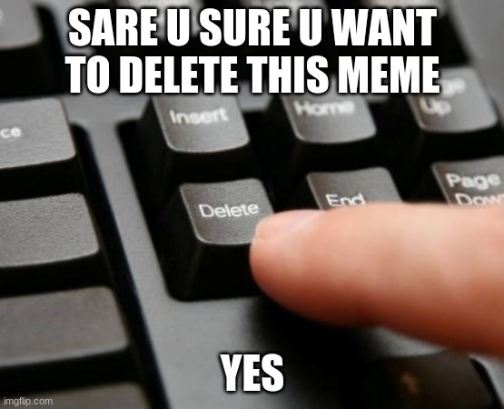 SARE U SURE U WANT TO DELETE THIS MEME YES | made w/ Imgflip meme maker
