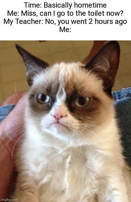 Relatable, Anyone? | Time: Basically hometime
Me: Miss, can I go to the toilet now?
My Teacher: No, you went 2 hours ago
Me: | image tagged in memes,grumpy cat | made w/ Imgflip meme maker
