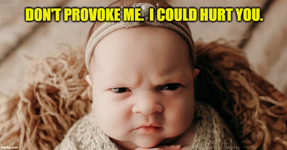 A Word to the Wise | DON'T PROVOKE ME.  I COULD HURT YOU. | image tagged in tough baby | made w/ Imgflip meme maker