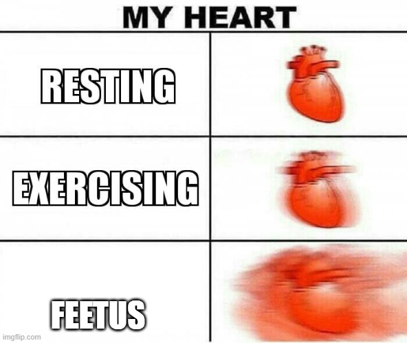 MY HEART | FEETUS | image tagged in my heart | made w/ Imgflip meme maker