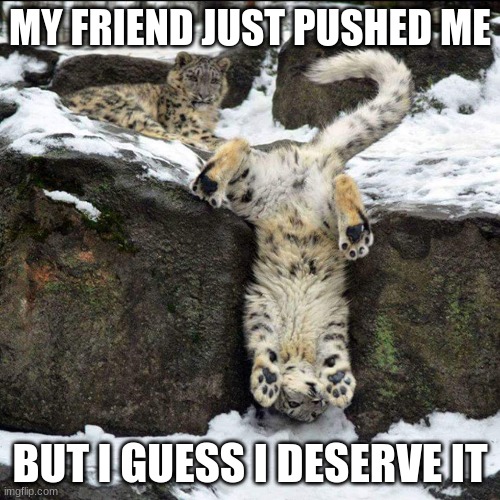 snow leopard | MY FRIEND JUST PUSHED ME; BUT I GUESS I DESERVE IT | image tagged in snow leopard | made w/ Imgflip meme maker