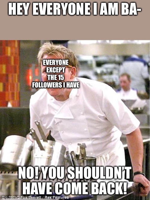 Chef Gordon Ramsay | HEY EVERYONE I AM BA-; EVERYONE EXCEPT THE 15 FOLLOWERS I HAVE; NO! YOU SHOULDN’T HAVE COME BACK! | image tagged in memes,chef gordon ramsay | made w/ Imgflip meme maker