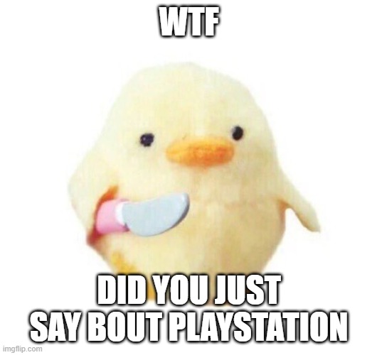 Duck with knife | WTF DID YOU JUST SAY BOUT PLAYSTATION | image tagged in duck with knife | made w/ Imgflip meme maker