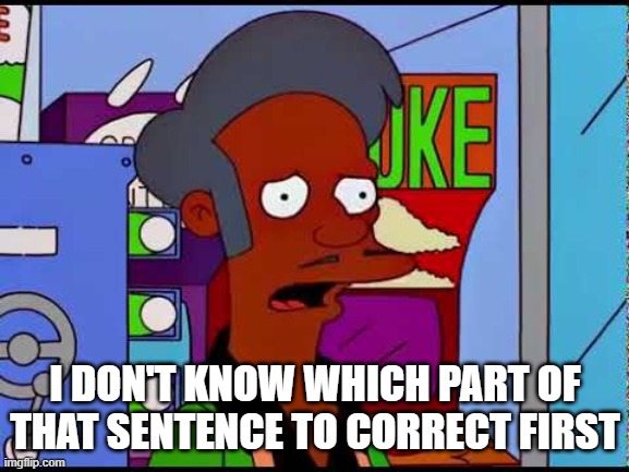Apu | I DON'T KNOW WHICH PART OF THAT SENTENCE TO CORRECT FIRST | image tagged in apu civil war reenactment | made w/ Imgflip meme maker