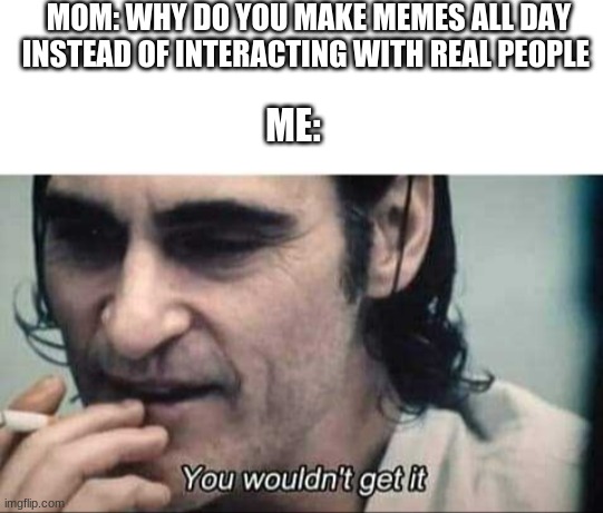 You wouldn't get it | MOM: WHY DO YOU MAKE MEMES ALL DAY INSTEAD OF INTERACTING WITH REAL PEOPLE; ME: | image tagged in you wouldn't get it | made w/ Imgflip meme maker