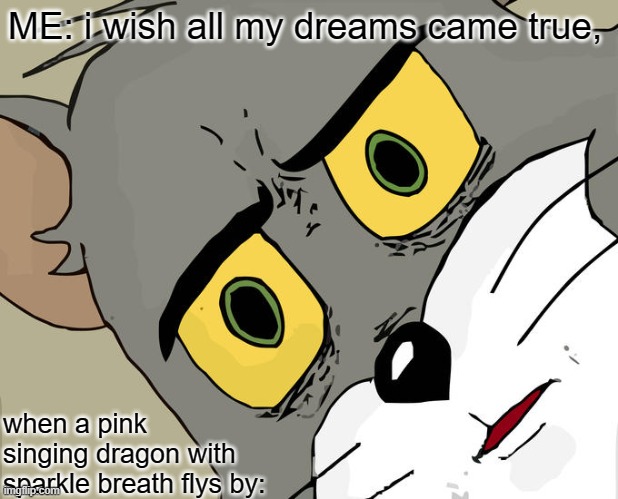 Unsettled Tom Meme | ME: i wish all my dreams came true, when a pink singing dragon with sparkle breath flys by: | image tagged in memes,unsettled tom | made w/ Imgflip meme maker