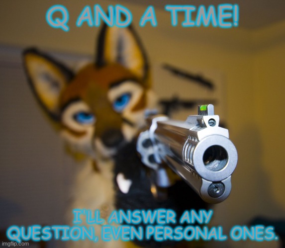because bored | Q AND A TIME! I'LL ANSWER ANY QUESTION, EVEN PERSONAL ONES. | image tagged in furry with gun | made w/ Imgflip meme maker