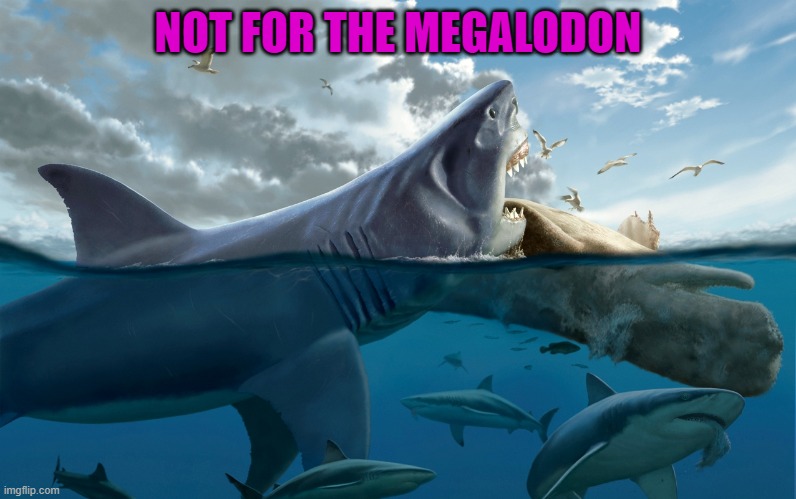 NOT FOR THE MEGALODON | made w/ Imgflip meme maker