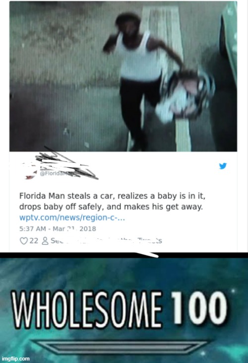 Florida man strikes again | image tagged in wholesome 100 | made w/ Imgflip meme maker