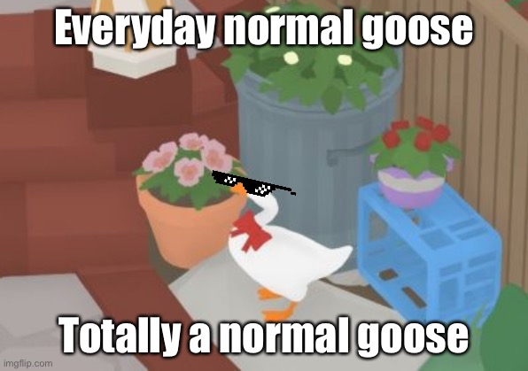 Totally normal goose | Everyday normal goose; Totally a normal goose | image tagged in goose,totally normal,swag | made w/ Imgflip meme maker