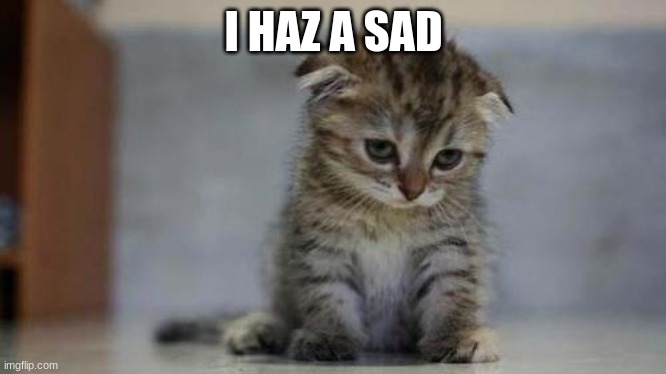 Sad kitten | I HAZ A SAD | image tagged in sad kitten | made w/ Imgflip meme maker