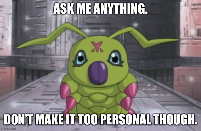 ASK ME ANYTHING. DON’T MAKE IT TOO PERSONAL THOUGH. | made w/ Imgflip meme maker
