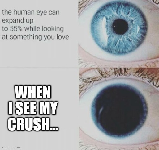 Eye pupil expand | WHEN I SEE MY CRUSH... | image tagged in eye pupil expand | made w/ Imgflip meme maker