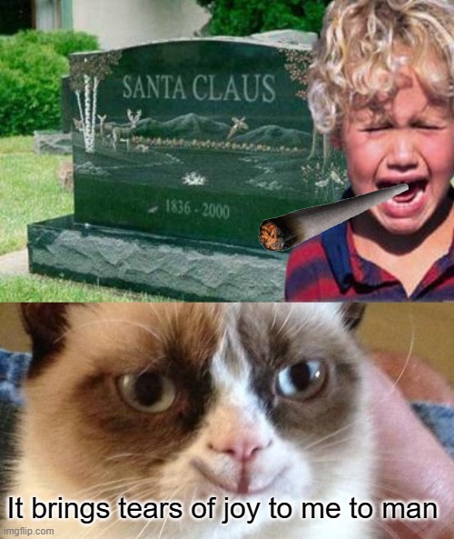 It brings tears of joy to me to man | image tagged in grumpy cat | made w/ Imgflip meme maker