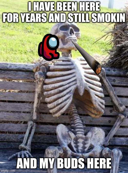 Waiting Skeleton | I HAVE BEEN HERE FOR YEARS AND STILL SMOKIN; AND MY BUDS HERE | image tagged in memes,waiting skeleton | made w/ Imgflip meme maker