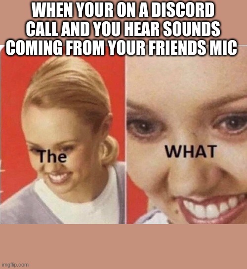 WHEN YOUR ON A DISCORD CALL AND YOU HEAR SOUNDS COMING FROM YOUR FRIENDS MIC | image tagged in funny,memes,oh wow are you actually reading these tags | made w/ Imgflip meme maker