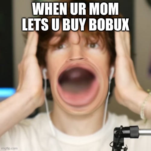 W O A H |  WHEN UR MOM LETS U BUY BOBUX | image tagged in flamingo surprised | made w/ Imgflip meme maker