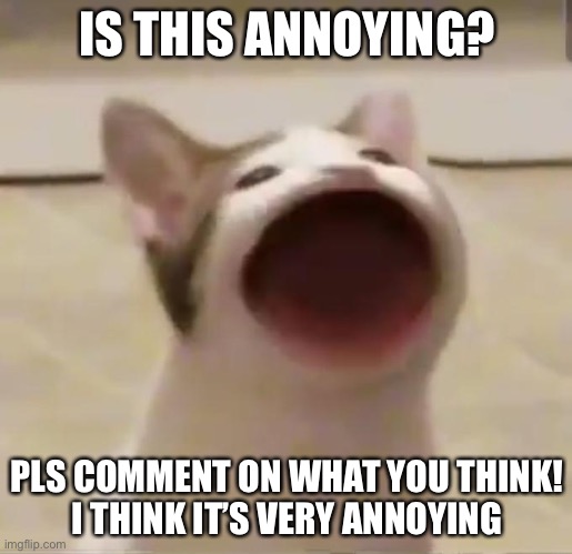 Pop cat meow | IS THIS ANNOYING? PLS COMMENT ON WHAT YOU THINK!
I THINK IT’S VERY ANNOYING | image tagged in pop cat | made w/ Imgflip meme maker
