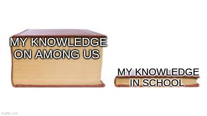 Big book small book | MY KNOWLEDGE ON AMONG US; MY KNOWLEDGE IN SCHOOL | image tagged in big book small book | made w/ Imgflip meme maker