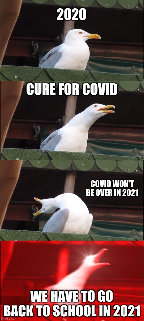 Inhaling Seagull | 2020; CURE FOR COVID; COVID WON'T BE OVER IN 2021; WE HAVE TO GO BACK TO SCHOOL IN 2021 | image tagged in memes,inhaling seagull | made w/ Imgflip meme maker