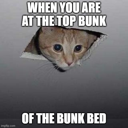 Ceiling Cat | WHEN YOU ARE AT THE TOP BUNK; OF THE BUNK BED | image tagged in memes,ceiling cat | made w/ Imgflip meme maker