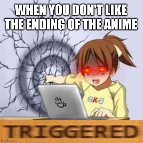 TRIGGERED | WHEN YOU DON'T LIKE THE ENDING OF THE ANIME | image tagged in anime wall punch,triggered,anime | made w/ Imgflip meme maker
