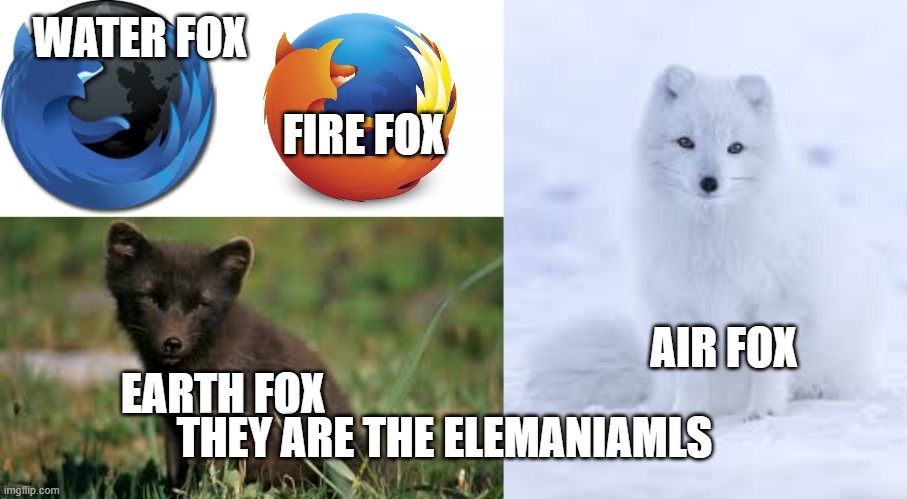 Idk if this already exists but i wanted to make it so... | WATER FOX; FIRE FOX; AIR FOX; EARTH FOX; THEY ARE THE ELEMANIAMLS | image tagged in fox,elements,avatar the last airbender,firefox | made w/ Imgflip meme maker