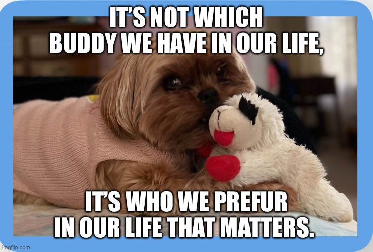 Chloe’s Life | IT’S NOT WHICH BUDDY WE HAVE IN OUR LIFE, IT’S WHO WE PREFUR IN OUR LIFE THAT MATTERS. | image tagged in chloe s life | made w/ Imgflip meme maker