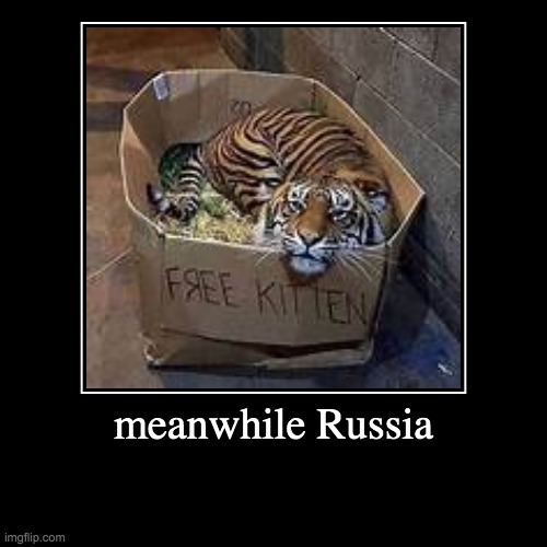 meanwhile in Russia | image tagged in funny,demotivationals | made w/ Imgflip demotivational maker