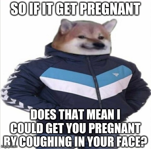 hummel doge | SO IF IT GET PREGNANT DOES THAT MEAN I COULD GET YOU PREGNANT BY COUGHING IN YOUR FACE? | image tagged in hummel doge | made w/ Imgflip meme maker