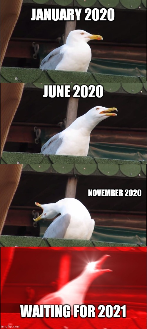 Inhaling Seagull | JANUARY 2020; JUNE 2020; NOVEMBER 2020; WAITING FOR 2021 | image tagged in memes,inhaling seagull | made w/ Imgflip meme maker