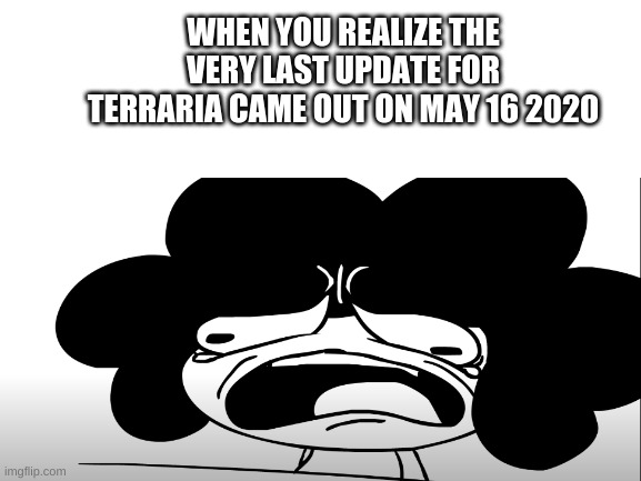 rip terraria | WHEN YOU REALIZE THE VERY LAST UPDATE FOR TERRARIA CAME OUT ON MAY 16 2020 | image tagged in sr pelo | made w/ Imgflip meme maker